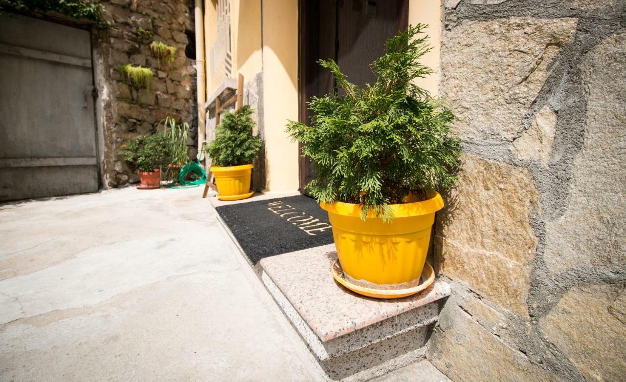 The Rocky House - Central & Private 2Bdr By Flat Mаnager プロヴディフ エクステリア 写真